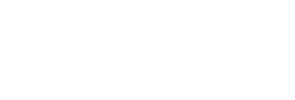 Savvy pet spa white