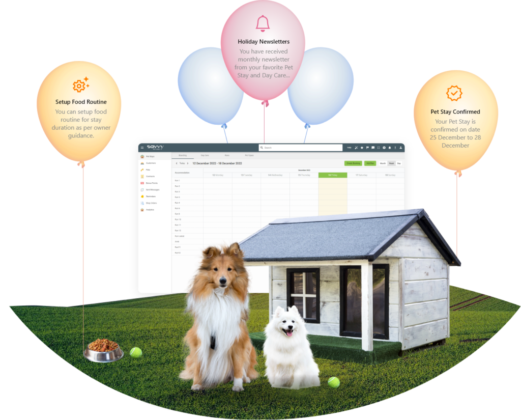 SAVVY Pet Stay It's All SAVVY