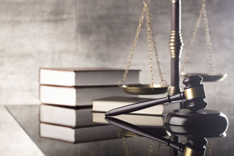 Do You Need a Licence for Dog Grooming UK? It's All SAVVY