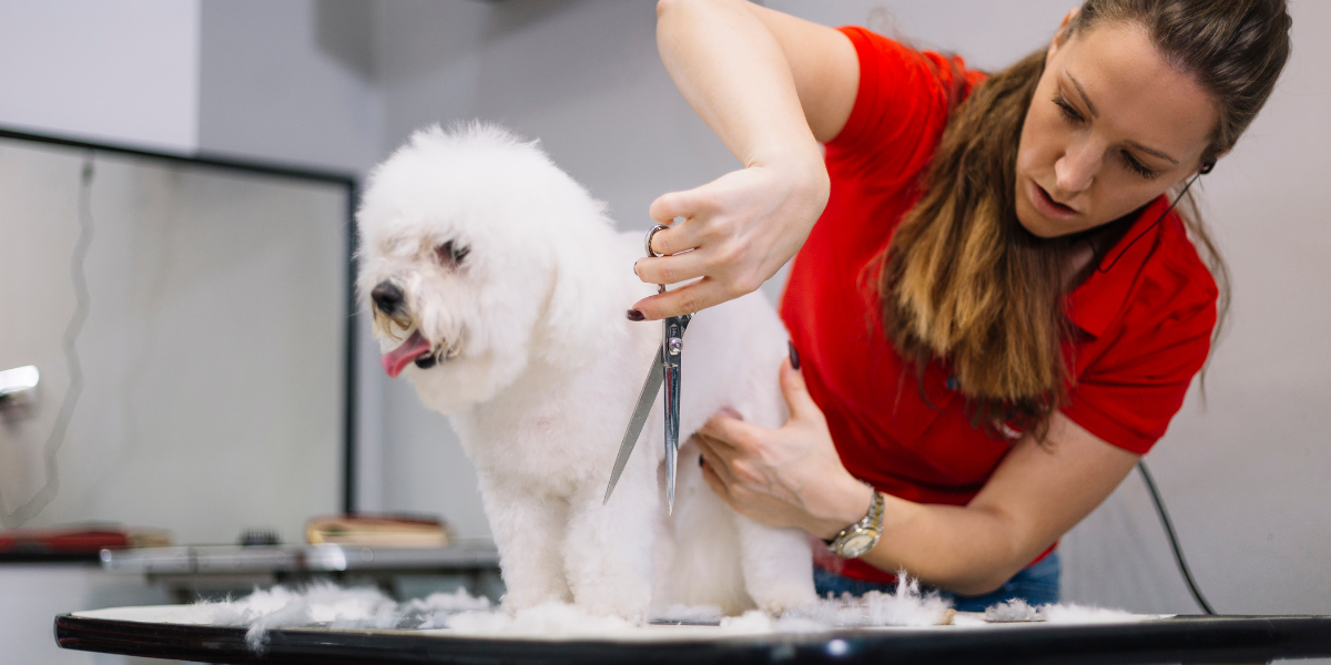 What is pet grooming software