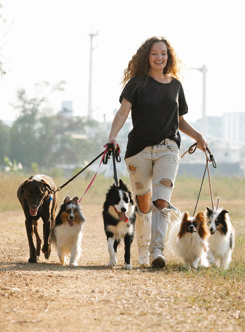 Woman Walking Dogs