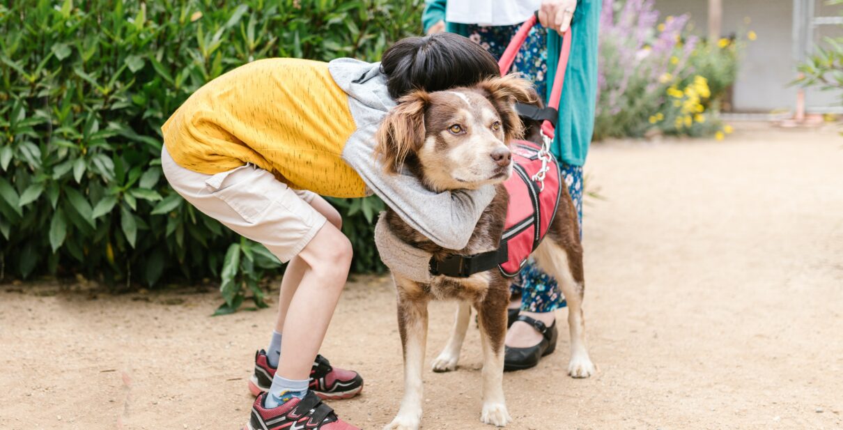 Is Dog Walking in High Demand?