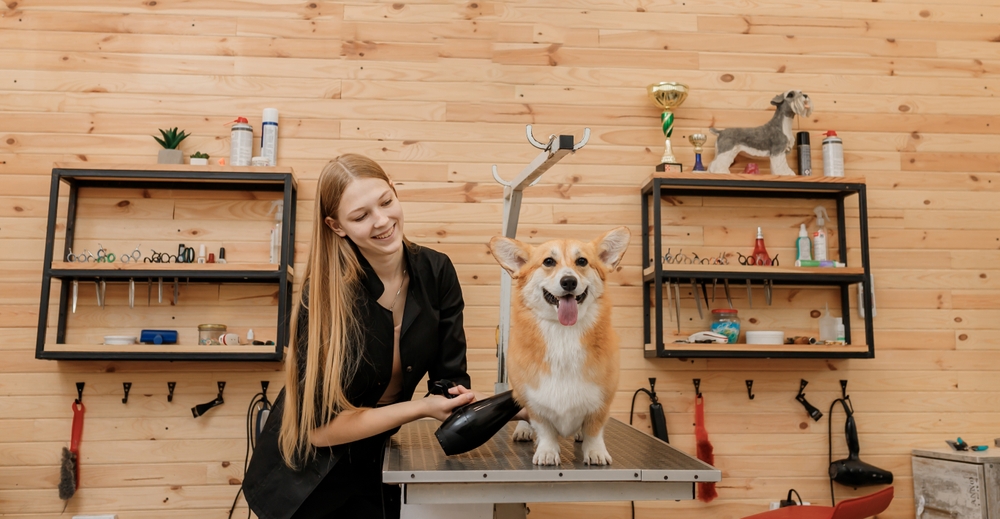 How Can Savvy Pet Spa Help Improve My Business?