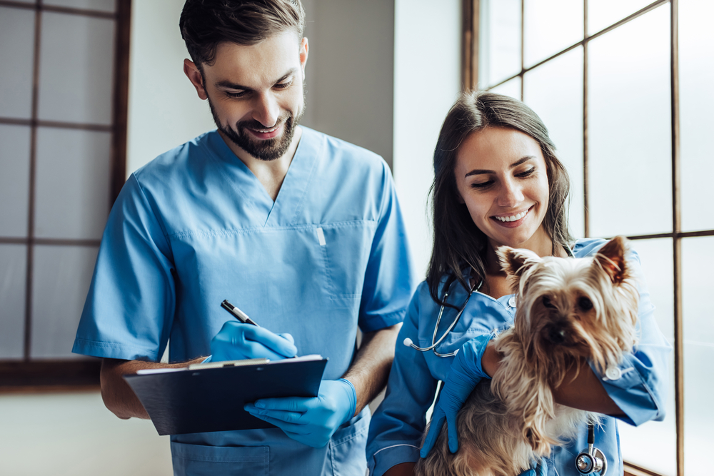 The best veterinary software